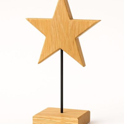 Weihnachtsdeko Dekostern Holzstern